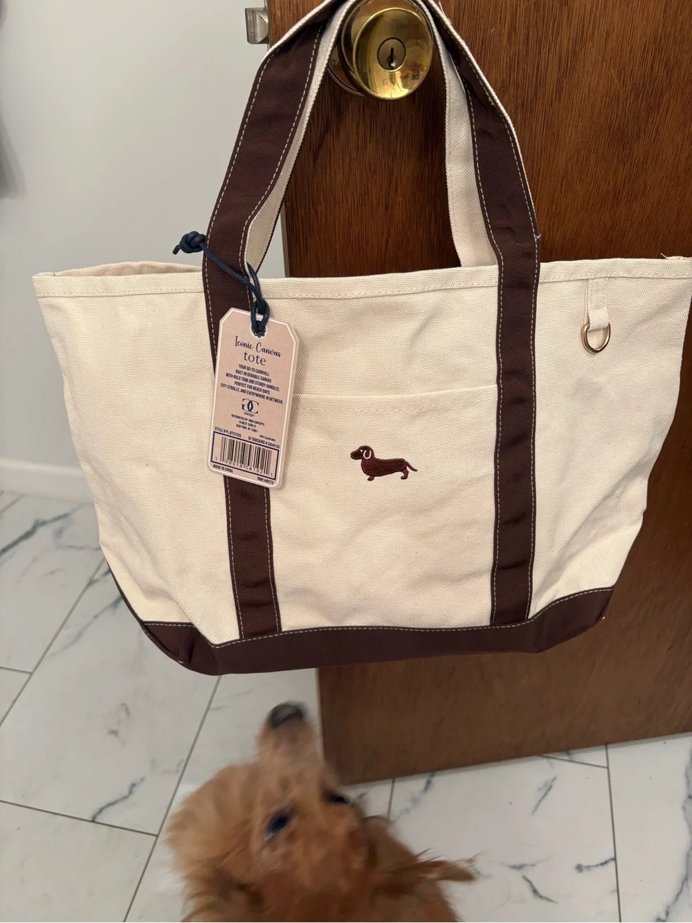 Cream Canvas Tote with Brown Trim and Dachshund Embroidery